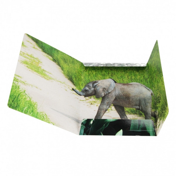 Teczka z gumką A4 Wild Animal2 559730 STARPAK